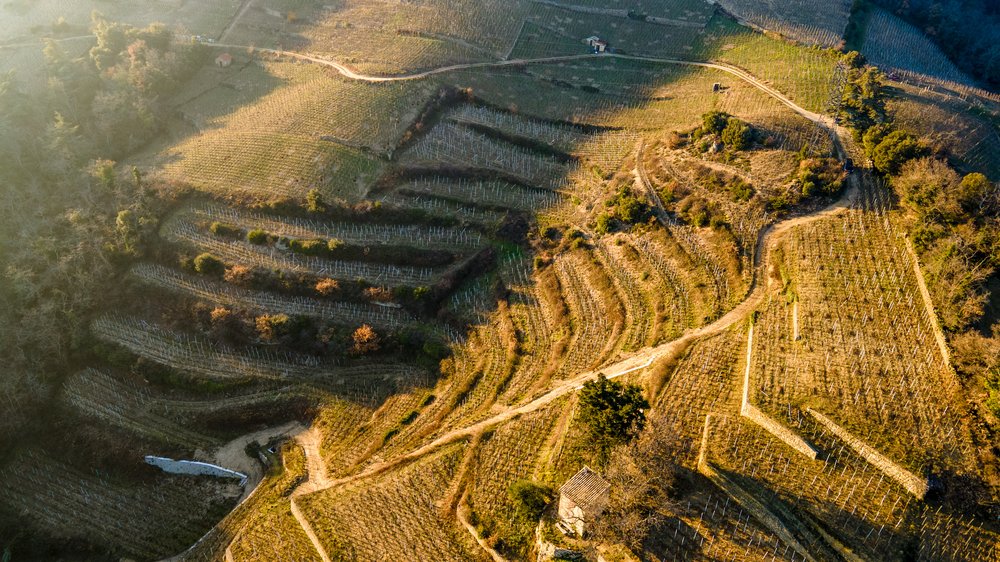 Cornas steep vineyard - Jean-Luc Colombo