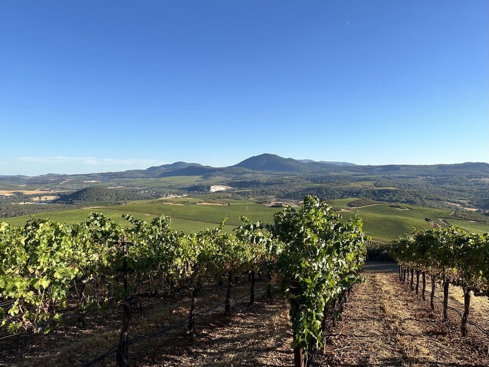 Beckstoffer Crimson Ridge Vineyard_Crimson Veil 2