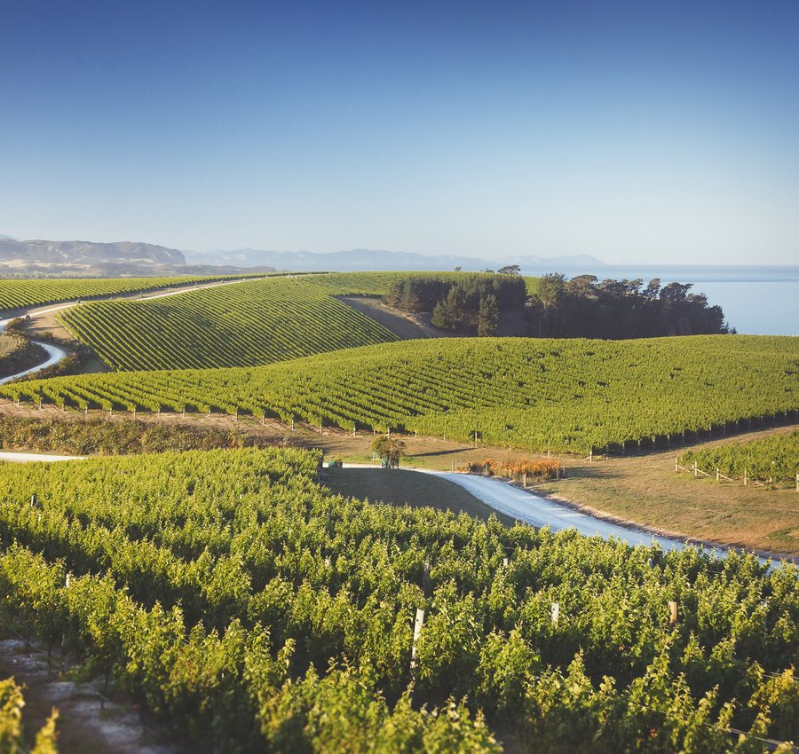 New Zealand Producer Listing